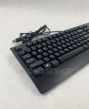 Lenovo USB Keyboard Model: KU-1619