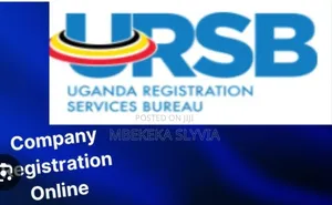 Company Registered in Just Hours