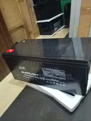 Duralast Battery