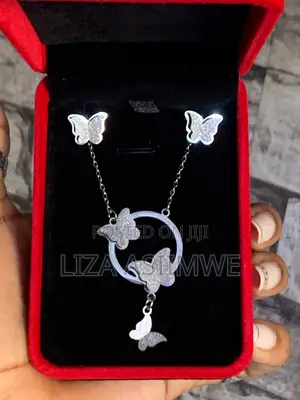 Silver Butterfly Set