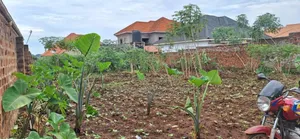 *50x100ft Kira Bulindo Town 300 Meters Off Tarmac 100m