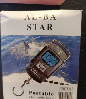 Electronic Portable Scale