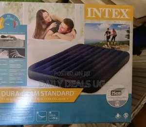 Intex Mattress