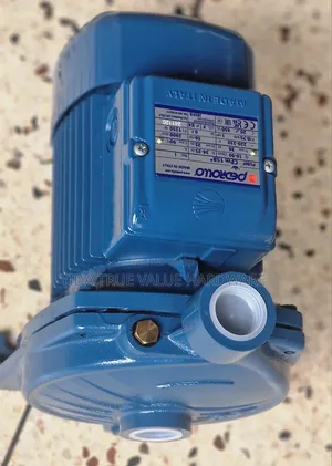 Pedrollo Surface Water Pump 1 Hose Power