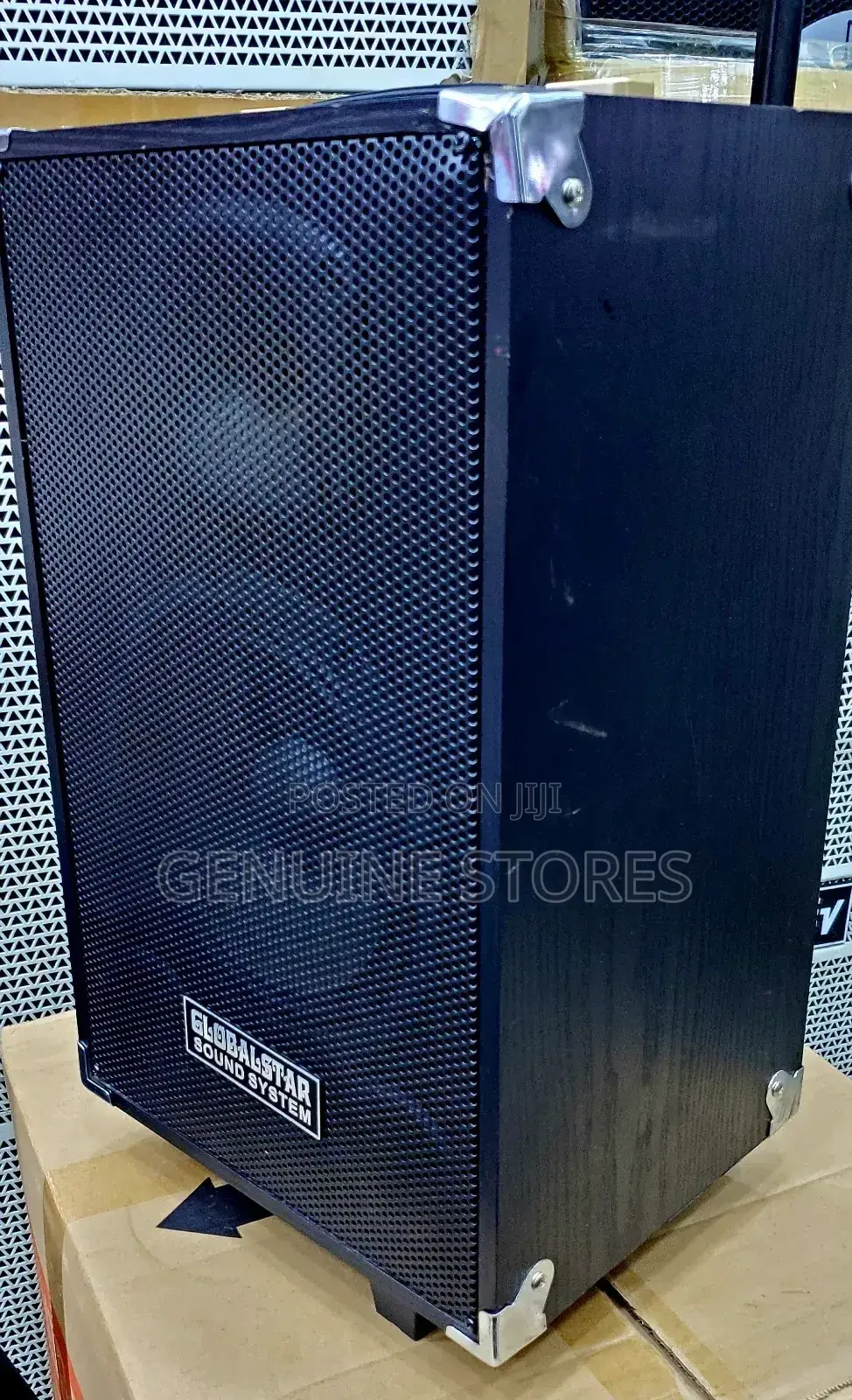 Globalstar Speaker