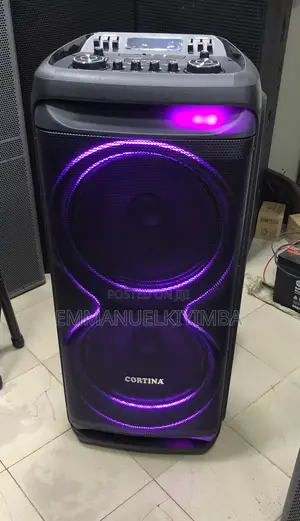 Party Box 15 Inch Double Speaker