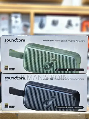Anker Soundcore Motion 300 Speaker