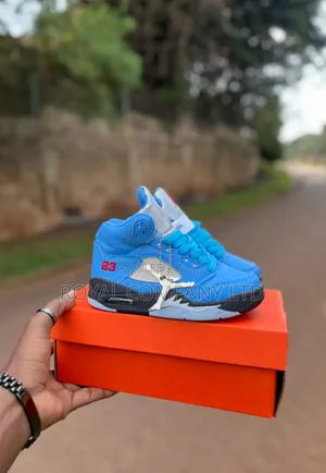 Kids Jordan Shoes Blue