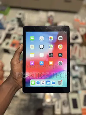 Apple iPad Air 64 GB Gray