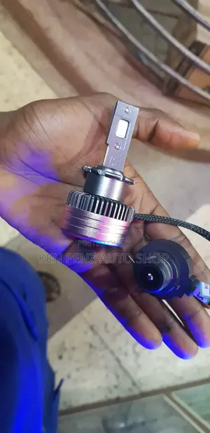 D4 Motor Bulbs for All Cars