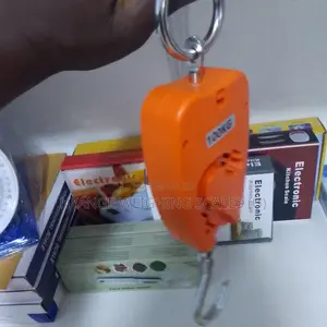 Best Price of Digital Mini Crane Weighing Scale