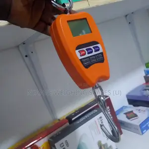 Best Selling Weighing Scale Mini Crane Weighing Scale200kg Weights