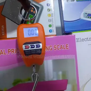 Best Place to Buy Mini Crane Weighing Scale