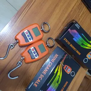 Best Price of Digital Mini Crane Weighing Scale Tem/8088