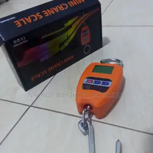 TEM/8088 Cheap Digital Commercial Mini Crane Weighing Scale