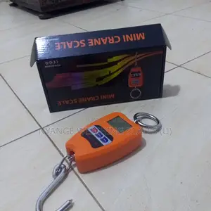 TEM/8088 Best Place to Buy Mini Crane Weighing Scale