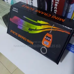 TEM/8088 High Accuracy 200kg Mini Crane Weighing Scale