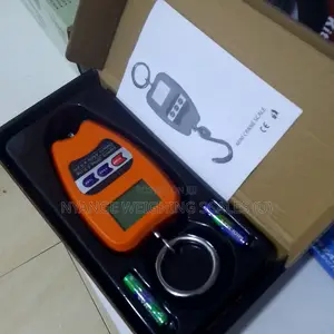 TEM/8088 Price Electric Mini Crane Weighing Scale