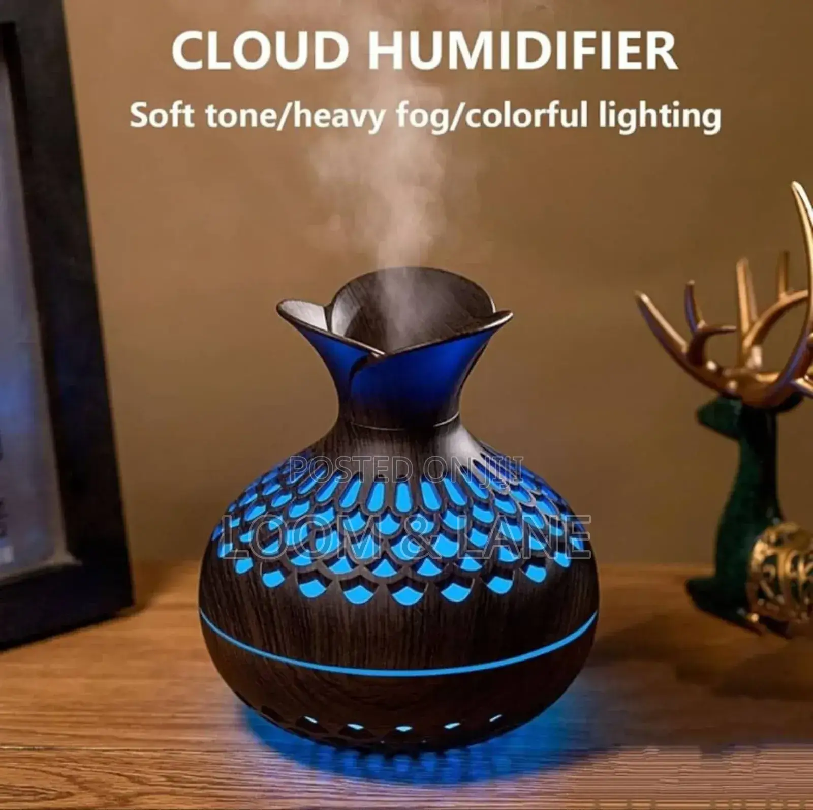 Colorful Lighting Cloud Humidifier