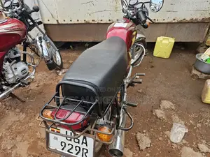 Bajaj Boxer 2024 Red