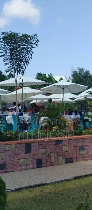 Palaso Tents for Hire