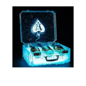 Led Lighted Champagne Bottle Display Holder.