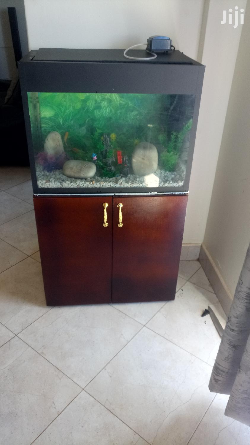 Beautiful Aquariums From Aqua 2000