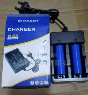 High Capacity Battery Charger