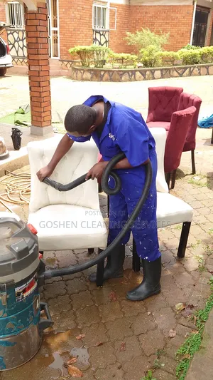 Professional Car Seats Cleaners