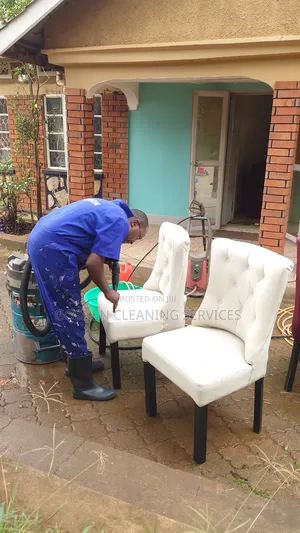 Professional Car Seats Cleaners