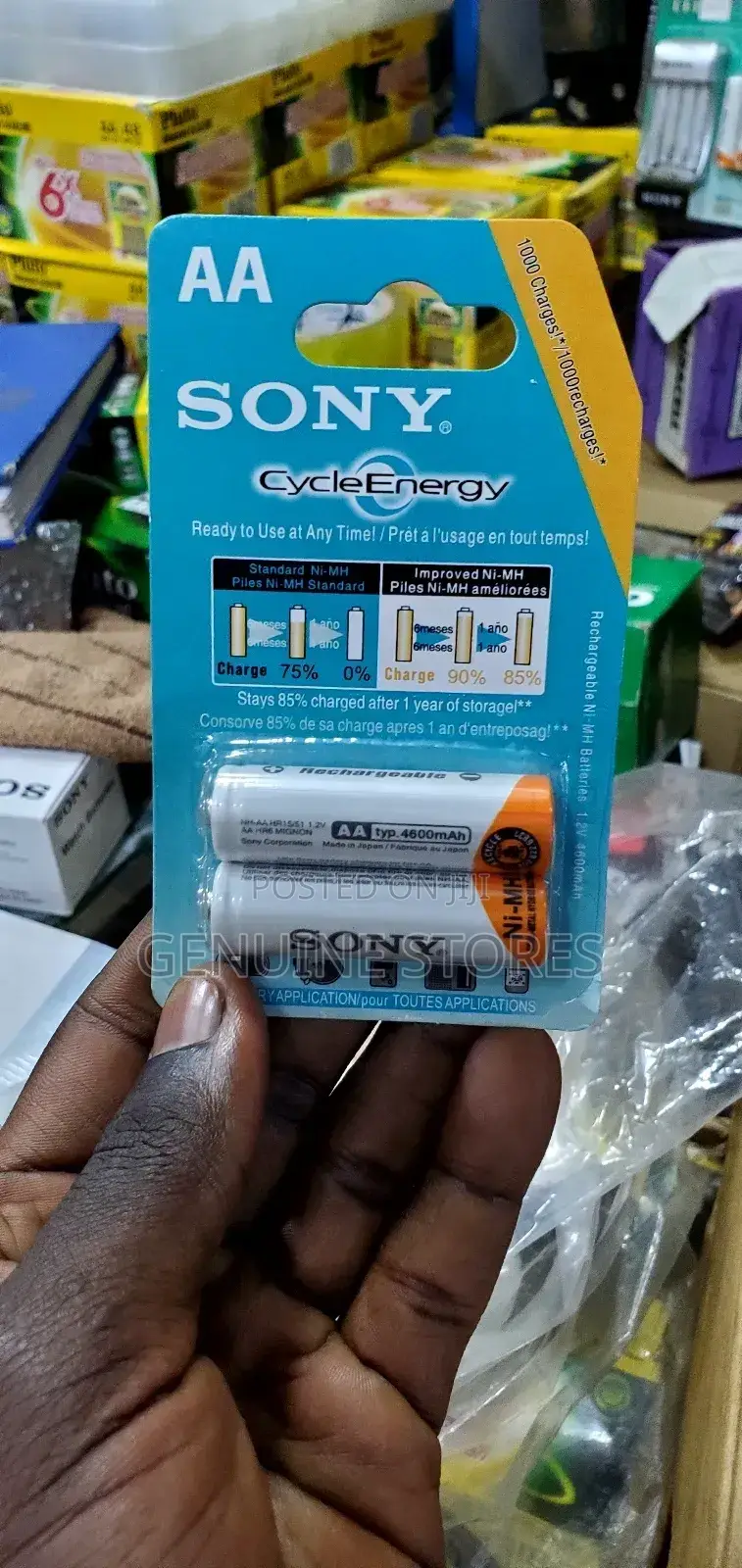 Sony Double AA Rechargeable Batteries