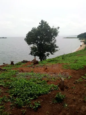 Plot Touching the Lake in Kasenyi Entebbe