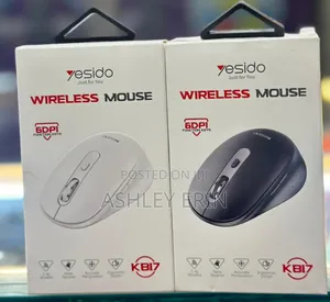 Yesido Kb17 Wireless Rechargeable Mouse Black and White