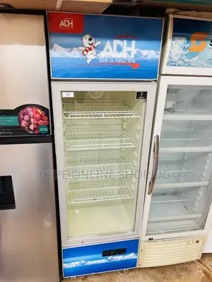300L ADH Display Fridge for Businesses