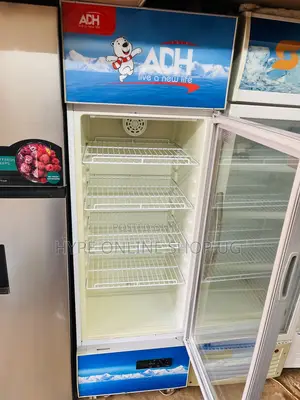 300L ADH Display Fridge for Businesses