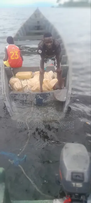 Boat Sailing