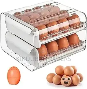 Egg Storage Double Layer Drawer Box