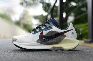 New Men's Nike Pegasus Trail 5 in Stock