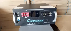 100ah 48v 5kwh Lifepo4 Lithium Battery Ce-LBT-48100c