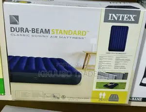 4x6 Intex Inflatable Air Mattress