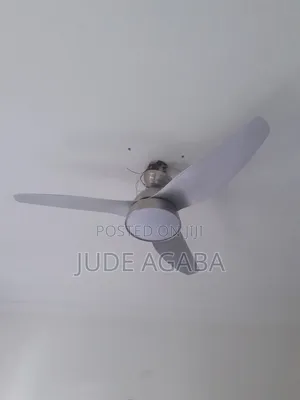 Professional Electrician
