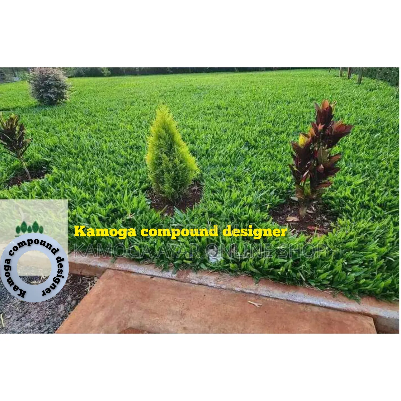 Natural Paspalum Grass Lawn Stake and Landscape