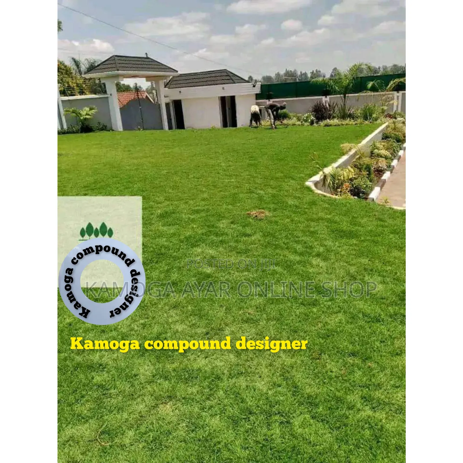 Natural Paspalum Grass Lawn Stake and Landscape
