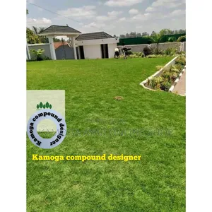 Natural Paspalum Grass Lawn Stake and Landscape