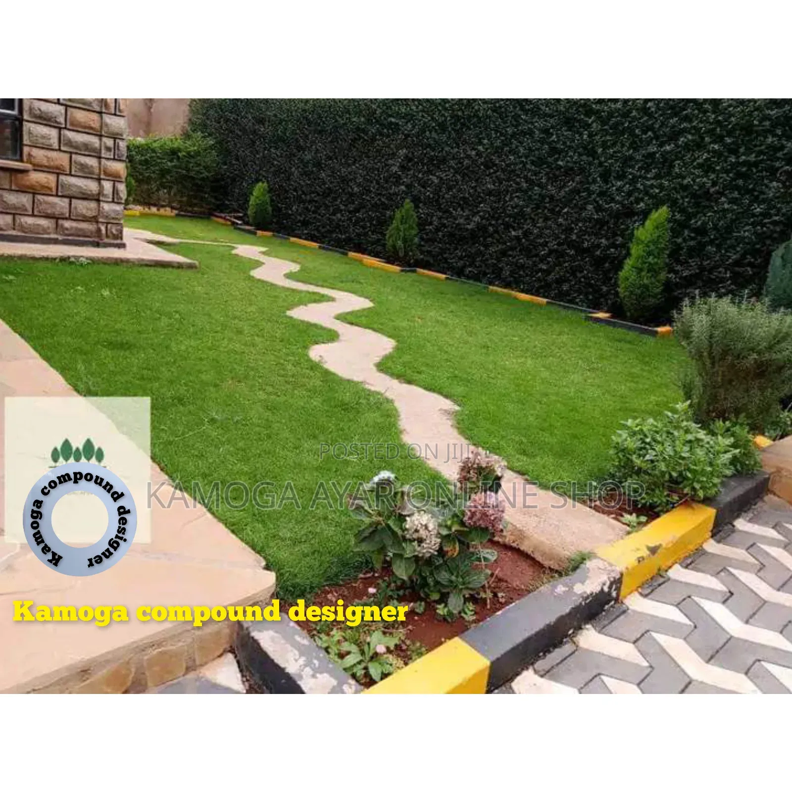 Hybrid Natural Compound Paspalum Grass and Landscape