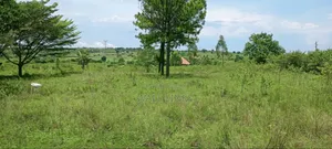 Acres of Land for Rent