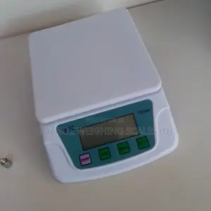 Portable Weighing Scale Jewelry Weigh Diamond Gram Weighing Scale