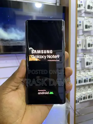 Samsung Galaxy Note 9 128 GB Gray