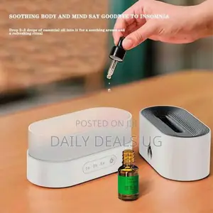 Portable Aroma Humidifier