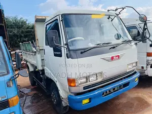 Hino Double Lights